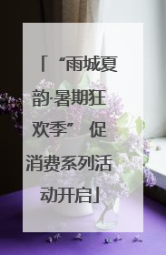 “雨城夏韵·暑期狂欢季” 促消费系列活动开启